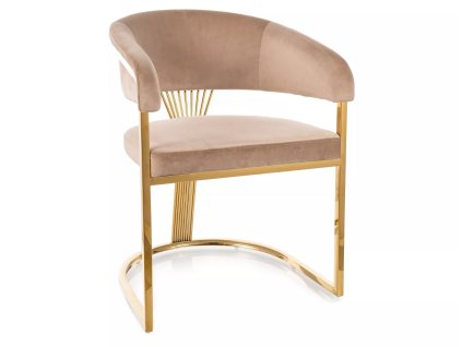 sametová jídelní židle fishing 6 – béžová do jídelny