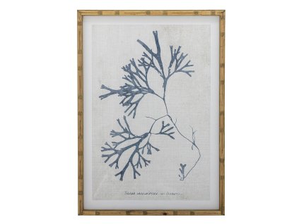 oqpwjir6zxmnlbyplib7