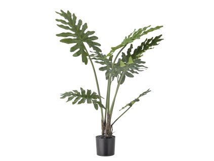 grzpqauizp5ewyqu08qs