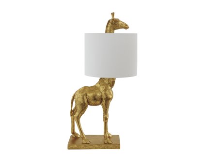 yvr6bitd0jleeu3wakz9