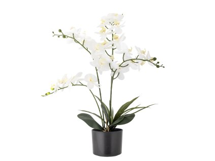 rgkwyvced6lqi0q5dhn9