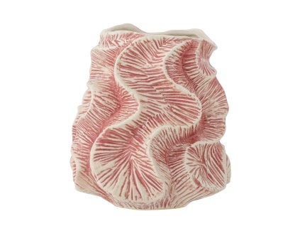 djenz36qc4sxnr0rupzh