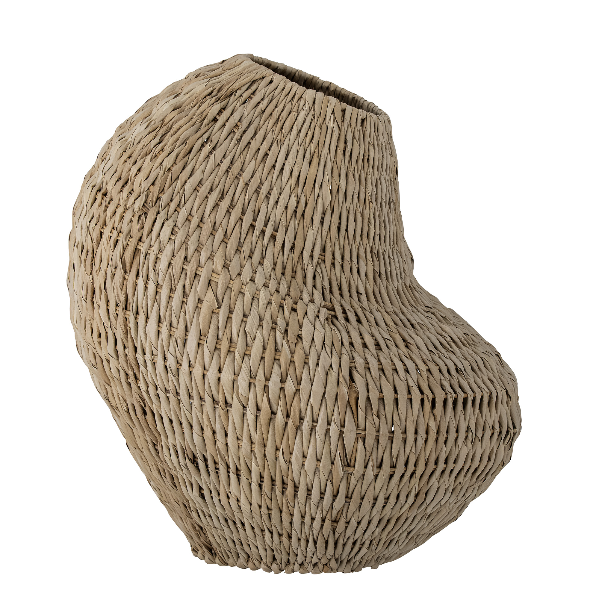 BLOOMINGVILLE Levis Basket, Příroda, Gebang Palm