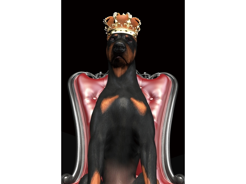 Obraz Dog in Crown DOGINCROWN80