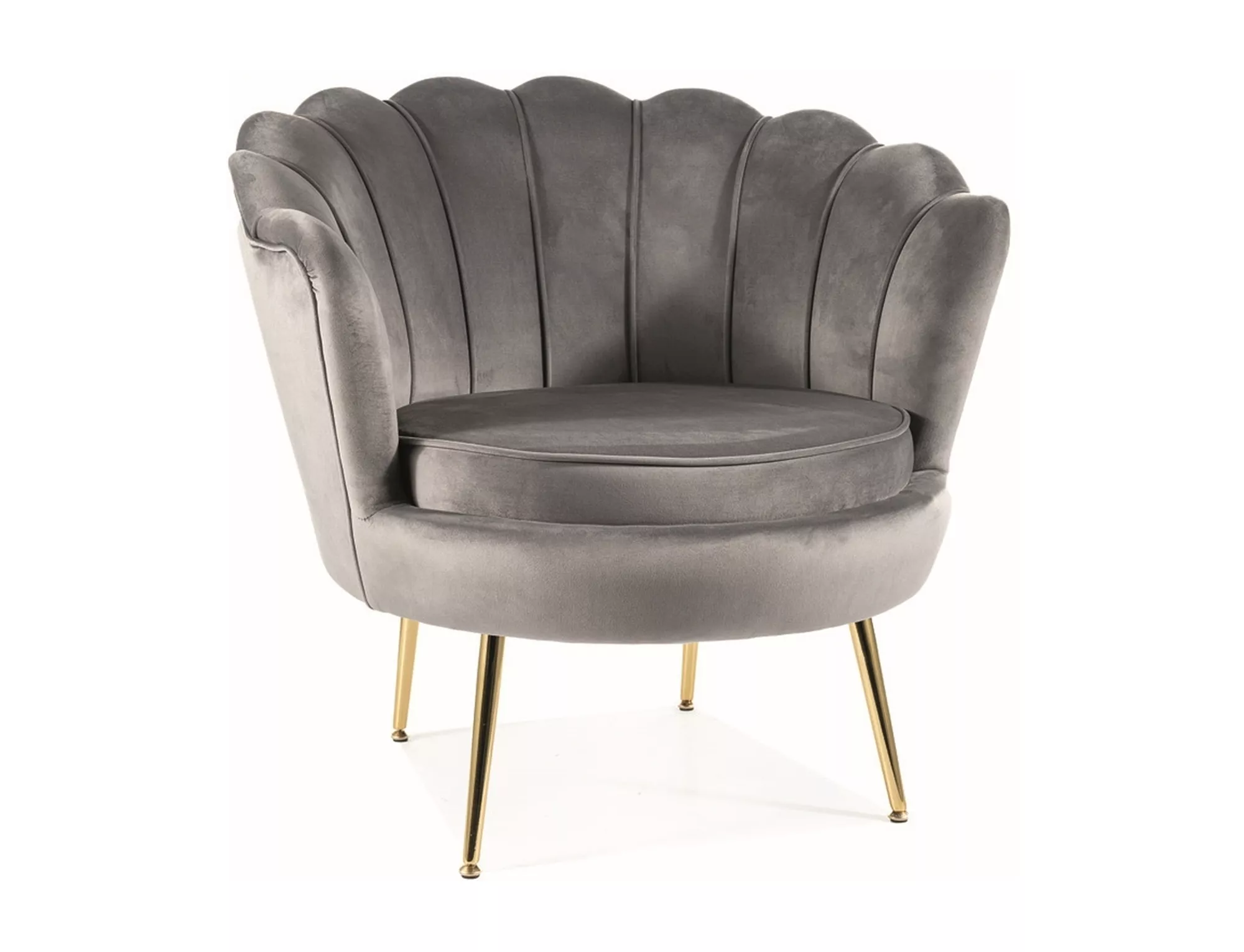 Fotel Camellia 1 Velvet CAMELLIAV1SZZL