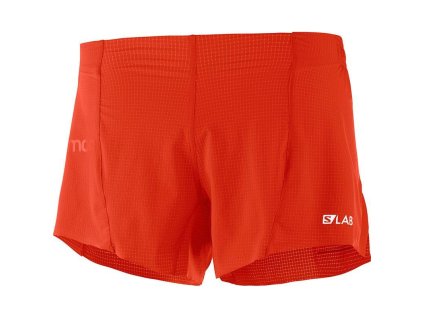 salomon slab short 4