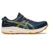 ASICS Fuji Lite 3 - (1011B467-401)