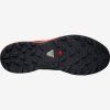 Salomon XA Elevate férfi terepfutó cipő - (L40611500) (Cipőméret eu - 41+1/3)