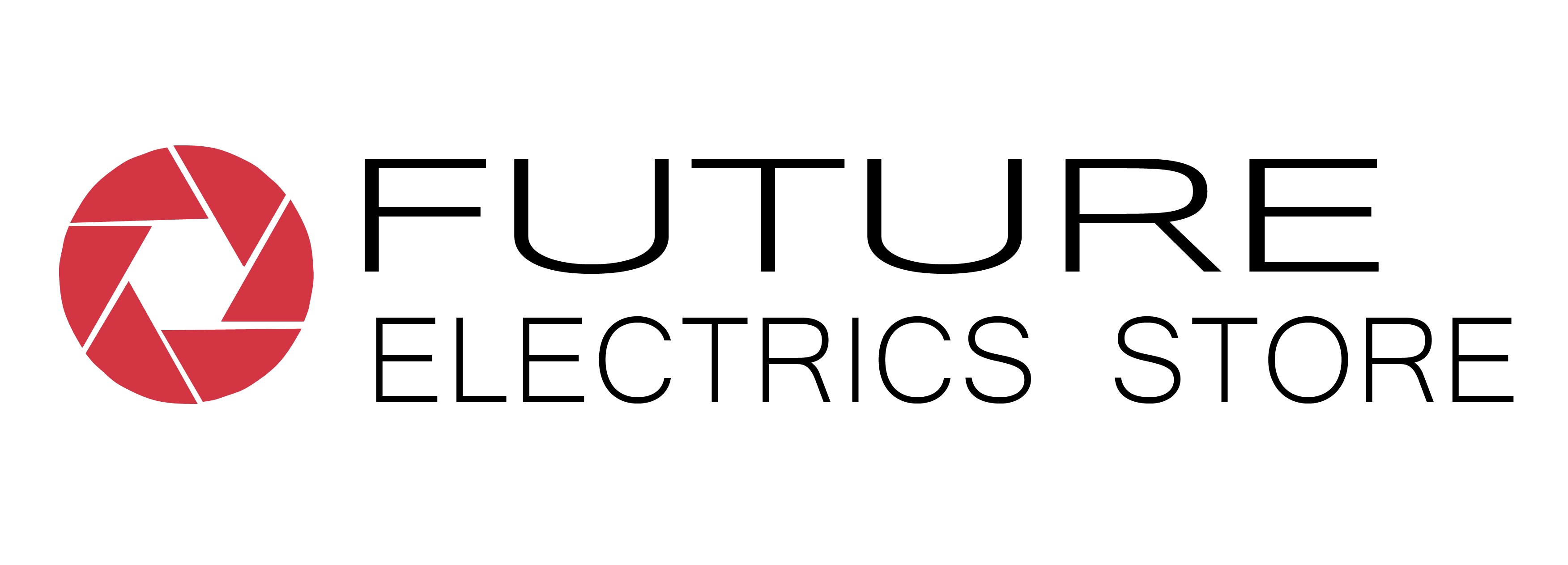 Future Electrics Store