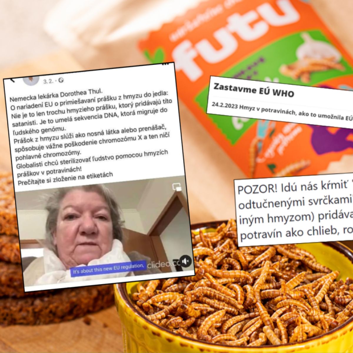 10 mýtov a faktov o jedlom hmyze: Čo na svrčky, koníky a jedlé červíky hovorí veda?