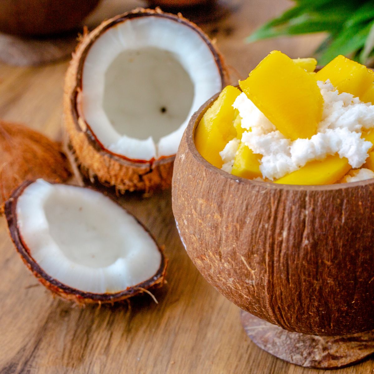 Kokos + Mango = láska