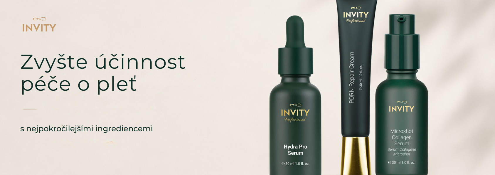 Invity_desktop