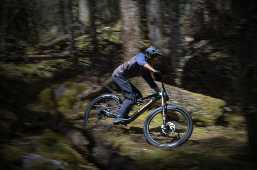 AMFLOW PL Carbon Pro U 29