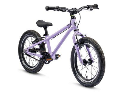 B16A Violet 1768575417