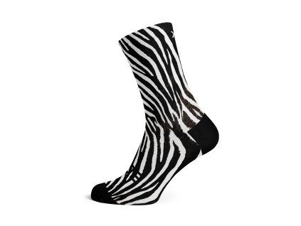 Zebra 1
