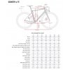ENVE frameset fray venom - venom