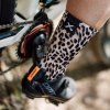 SoxFootwear WildRange2024 450