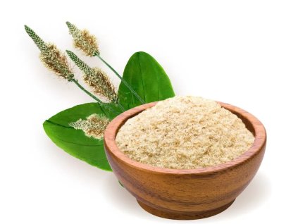 biomenu organic psyllium husk 125 g