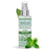 saloos bio medunkova voda 100 ml 25112