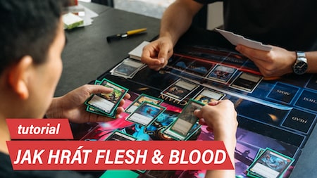 Jak se hraje Flesh & Blood?