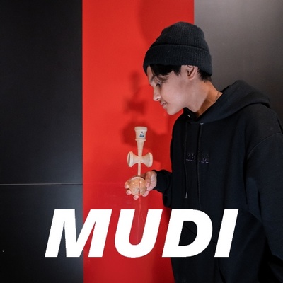 Mudi