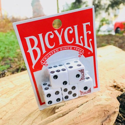 Dice (sada 5 hracích kostek) (Bicycle)