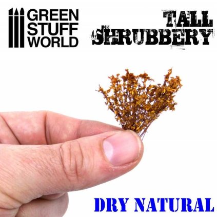 tall shrubbery dry natural (2)