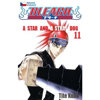 330696 1 bleach 11 a star and a stray dog