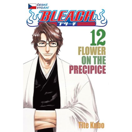 Bleach 12: Flower on the Precipice