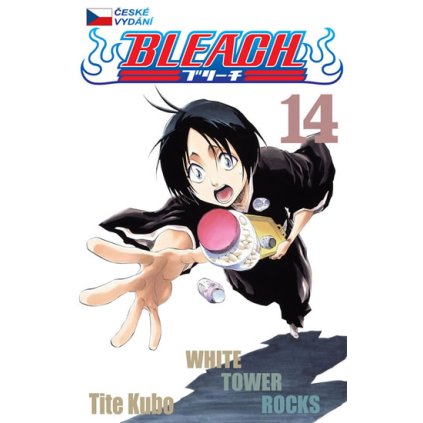 Bleach 14: White Tower Rocks