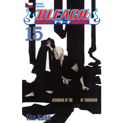 330708 1 bleach 15 beginning of death tomorrow