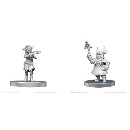 Critical Role Unpainted Miniatures: Veth Brenatto & Nott the Brave