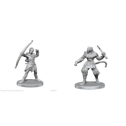 Pathfinder Battles Deep Cuts: Elf Hunter & Catfolk Bandit