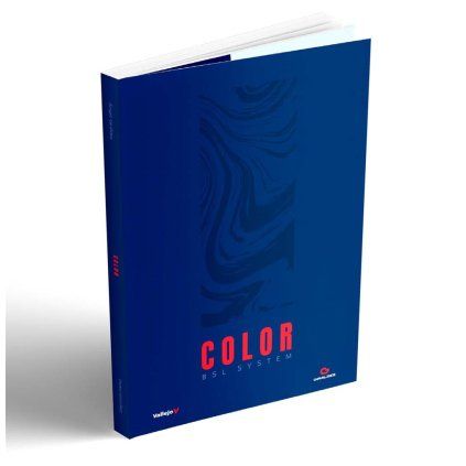 Vallejo Publications Book - Color BSL System (Vallejo)