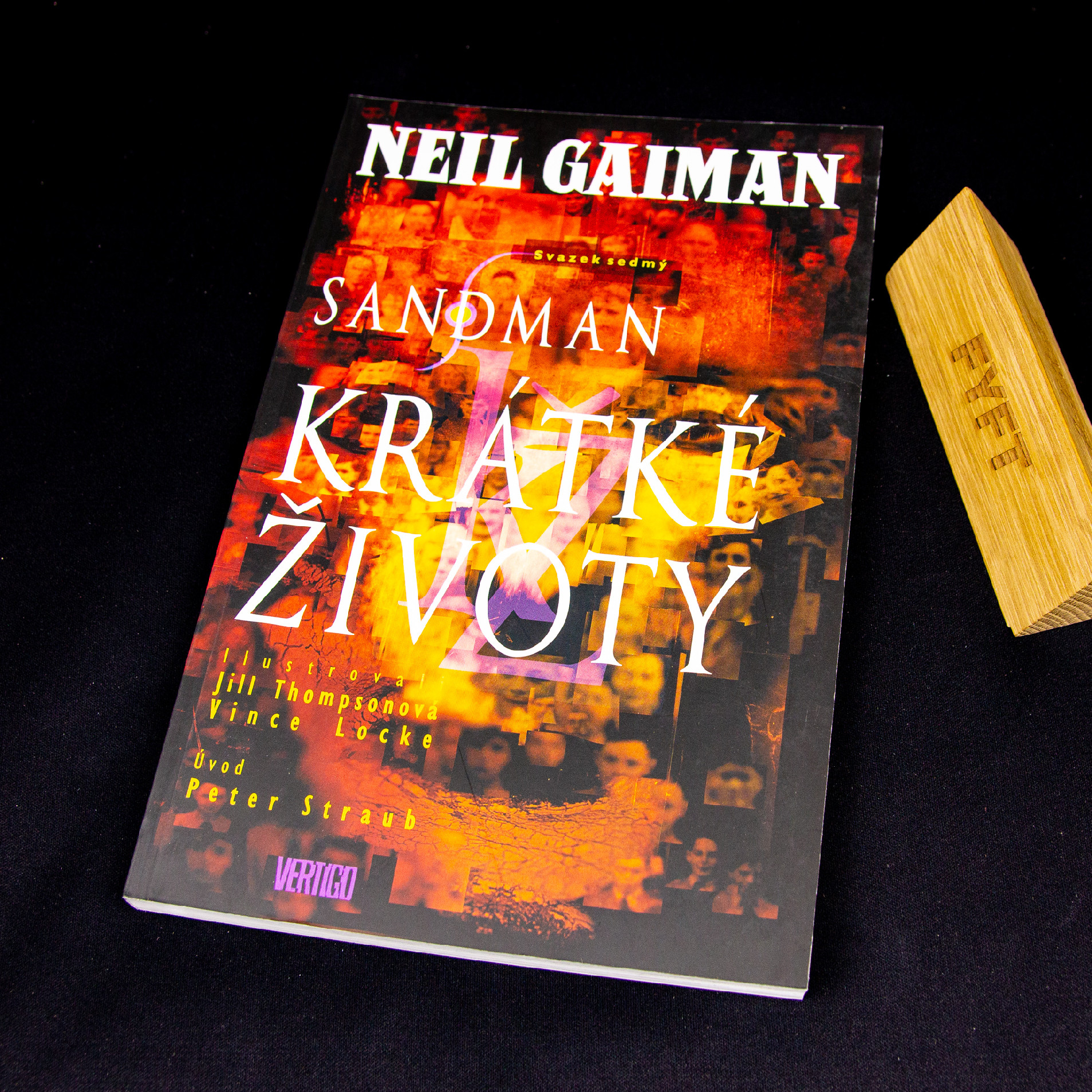 Komiks Sandman 7: Krátké životy (Crew)