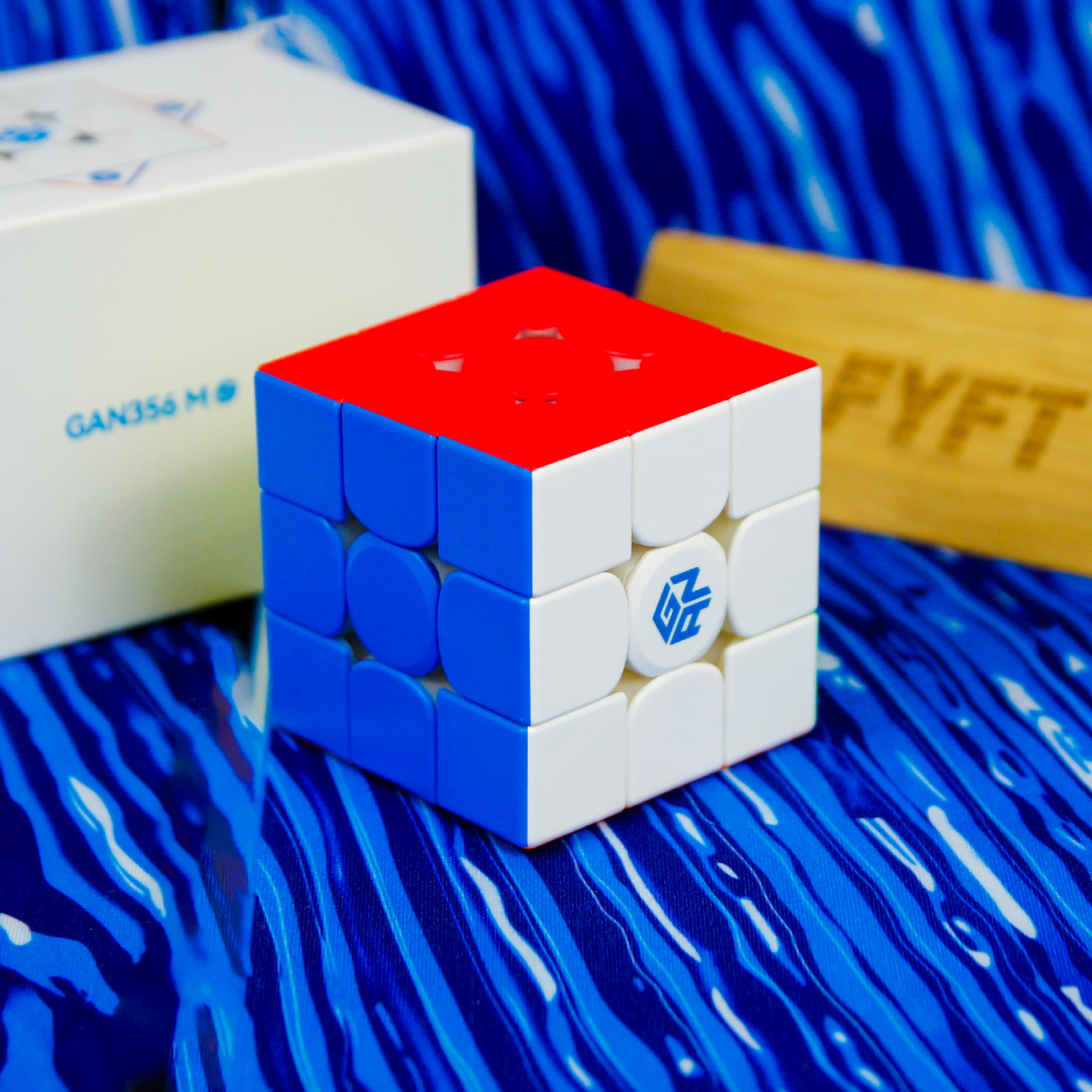 Gans puzzle GAN 356 M E