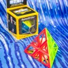 DNA Pyraminx (QiYi)