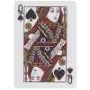 0000 zoma playing cards 0000 Layer 8 1024x1024
