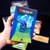 Zendikar Rising Theme booster MTG (Magic: The Gathering)