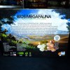 Bios: Megafauna - druhá edice (Sierra Madre Games)