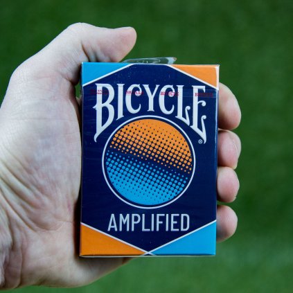 2921 amplified bicycle
