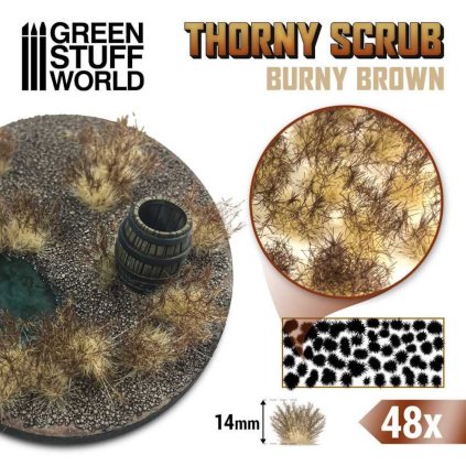 thorny scrubs burny brown spiky tuft