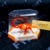 HexBug Scorpion (Farbe Rot)
