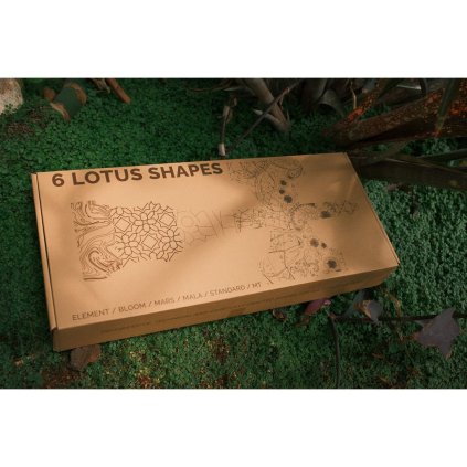 Sampler 6 forme 2 prelucrate