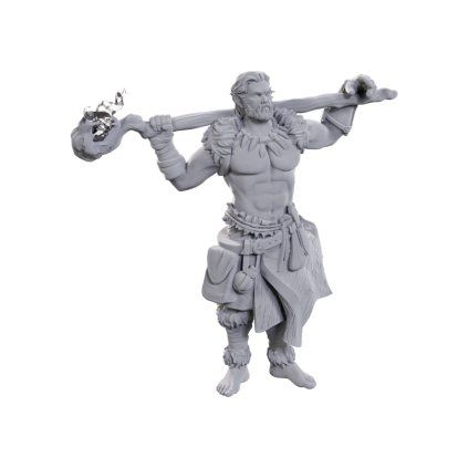 87628 d d nolzur s marvelous miniatures archdruid martial arts adept