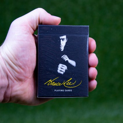 8117 bruce lee karty art of play