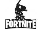 Fortnite komiksy a knihy