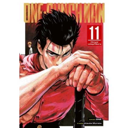 One Punch Man 11