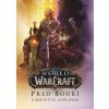 Kniha v češtině World of Warcraft: Před bouří