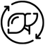 Detoxikace